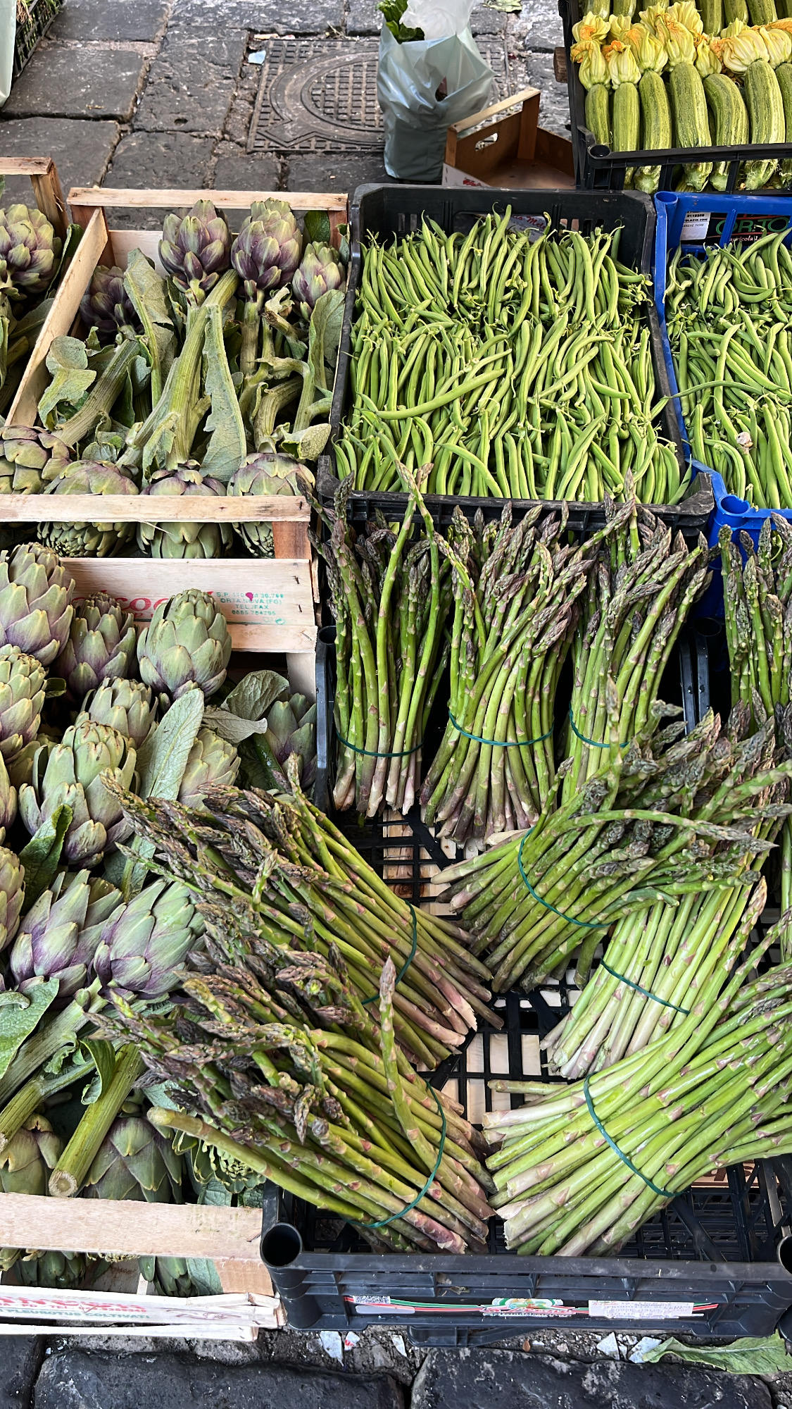 F2389068-E406-4FF6-B31C-23F94AA6B805